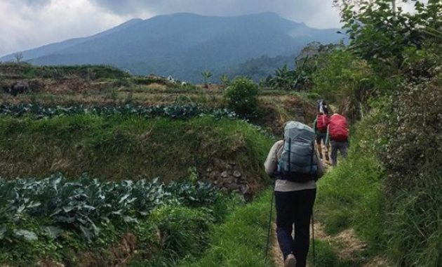 menghilangkan stres dan berburu inspirasi dari edelweis di alun-alun suryakencana, Lokasi Tempat Wisata, Informasi Umum, Mitos Dibalik Keindahan, Akses Menuju Lokasi, Tips Berwisata