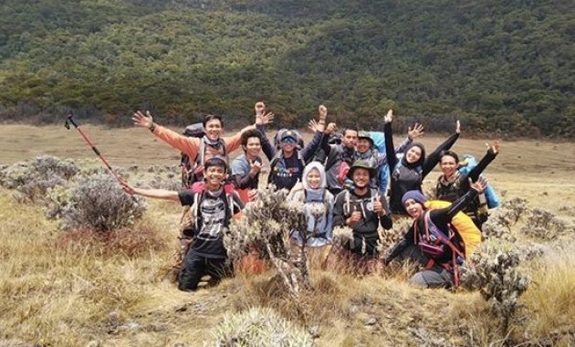 menghilangkan stres dan berburu inspirasi dari edelweis di alun-alun suryakencana, Lokasi Tempat Wisata, Informasi Umum, Mitos Dibalik Keindahan, Akses Menuju Lokasi, Tips Berwisata