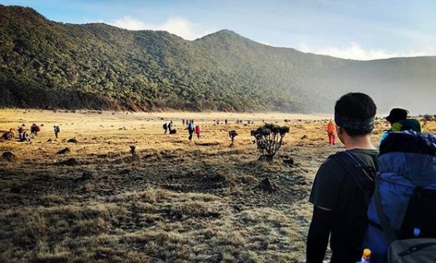 menghilangkan stres dan berburu inspirasi dari edelweis di alun-alun suryakencana, Lokasi Tempat Wisata, Informasi Umum, Mitos Dibalik Keindahan, Akses Menuju Lokasi, Tips Berwisata