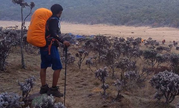 menghilangkan stres dan berburu inspirasi dari edelweis di alun-alun suryakencana, Lokasi Tempat Wisata, Informasi Umum, Mitos Dibalik Keindahan, Akses Menuju Lokasi, Tips Berwisata