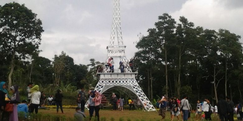 alamat taman bunga celosia, harga tiket masuk taman bunga celosia, info taman bunga celosia, keindahan taman bunga celosia, lokasi taman bunga celosia, rumah hobbit taman bunga celosia, rute taman bunga celosia, spot foto di taman bunga celosia, taman bunga celosia, wisata taman bunga celosia, wisata terbaru di semarang, menikmati keindahan taman bunga celosia di kaki gunung ungaran