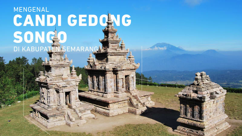 alamat taman bunga celosia, harga tiket masuk taman bunga celosia, info taman bunga celosia, keindahan taman bunga celosia, lokasi taman bunga celosia, rumah hobbit taman bunga celosia, rute taman bunga celosia, spot foto di taman bunga celosia, taman bunga celosia, wisata taman bunga celosia, wisata terbaru di semarang, menikmati keindahan taman bunga celosia di kaki gunung ungaran