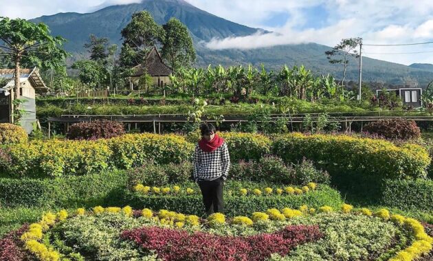 menikmati wisata baturraden bersama keluarga
