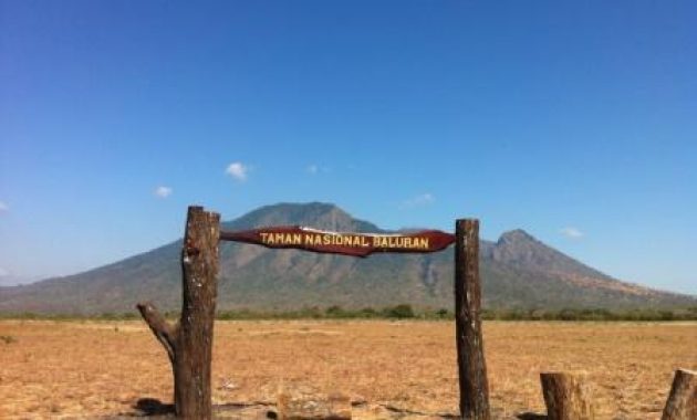 menjelajah banyuwangi ala backpacker, ini tips yang bisa kamu ikuti !, 1. Gunakan Kereta Api, 2. Pilih Dormitory Untuk Bermalam, 3. Bawa Barang &amp; Pakaian Secukupnya, 4. Makan Makanan Warga Lokal, 5. Berburu Sunset di Pantai Pulau Merah