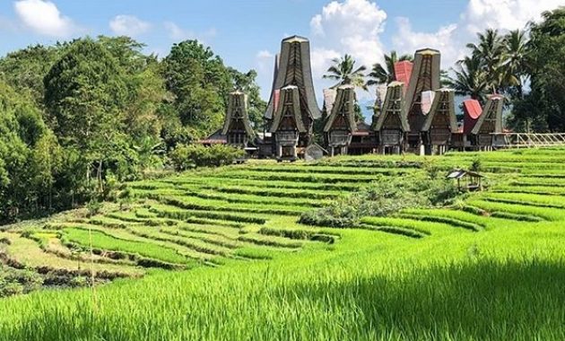 menjelajahi nilai historis lemo toraja