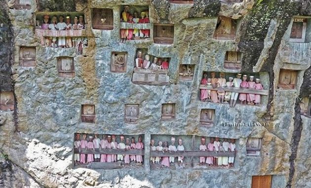 menjelajahi nilai historis lemo toraja