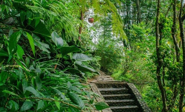 Mooi Lake House, Villa Mewah di Pinggir Danau Dengan Nuansa Eropa Yang Dikelilingi Hutan Rimbun