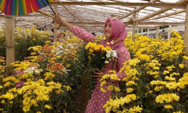 nomor 1 dan 3 lagi hits, 57 tempat wisata di semarang