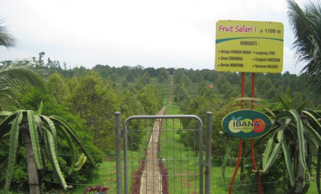 nomor 1 dan 3 lagi hits, 57 tempat wisata di semarang