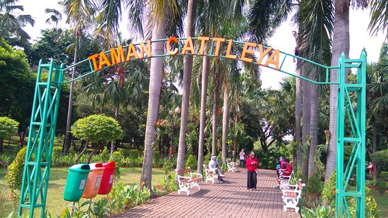 Nongkrong Asyik di Taman Cattleya Tomang Jakarta Barat