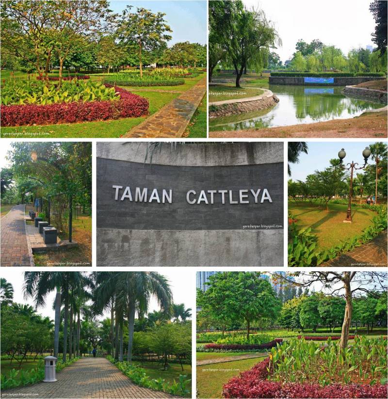 aktivitas di taman cattleya, alamat taman cattleya, fasilitas taman cattleya, lokasi taman cattleya, rute taman cattleya, sarana taman cattleya, taman cattleya, taman cattleya jakarta barat, taman cattleya tomang, nongkrong asyik di taman cattleya tomang jakarta barat