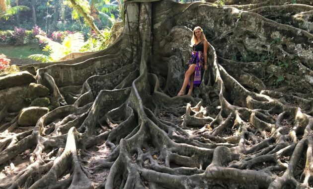 objek wisata goa gajah gianyar bali