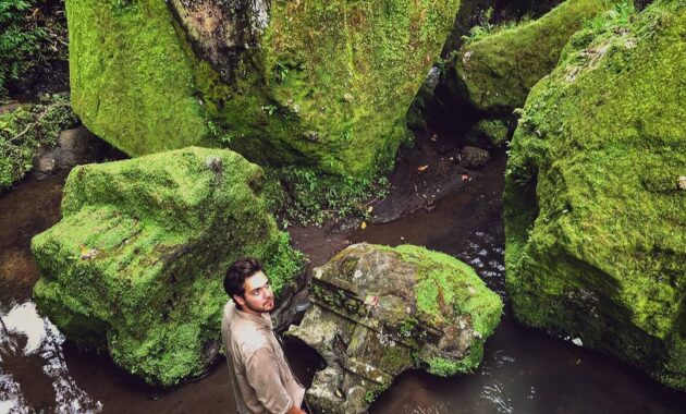 objek wisata goa gajah gianyar bali