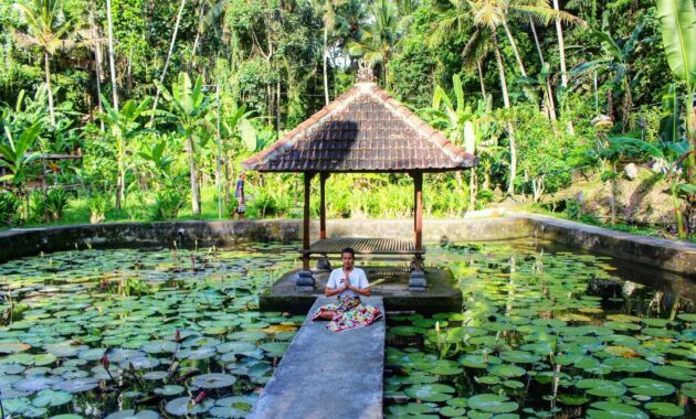 objek wisata goa gajah gianyar bali