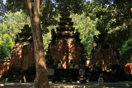 aktivitas taman nasional alas purwo, lokasi taman nasional alas purwo, objek wisata di taman nasional alas purwo, pantai plengkung, rute taman nasional alas purwo, taman nasional alas purwo, objek wisata taman nasional alas purwo banyuwangi jawa timur