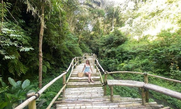 padma resort, penginapan mewah dengan mini zoo serta kolam renang infinity terpanjang di ubud