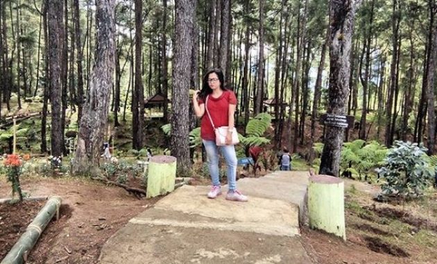 pango pango, sebuah destinasi istimewa di tana toraja, Rute Menuju ke Lokasi, Daya Tarik Wisata, Waktu Terbaik Berkunjung ke Pango-Pango, Harga Tiket Masuk Pango-Pango