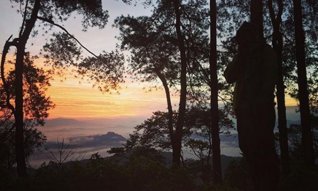pango pango, sebuah destinasi istimewa di tana toraja, Rute Menuju ke Lokasi, Daya Tarik Wisata, Waktu Terbaik Berkunjung ke Pango-Pango, Harga Tiket Masuk Pango-Pango