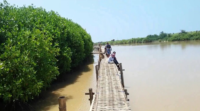 harga tiket masuk pantai baros, keindahan pantai baros fasilitas pantai baros, liburan ke pantai baros, lokasi pantai baros, pantai baros, pantai baros bantul, pantai baros jogja, rute pantai baros, tiket masuk pantai baros, wisata pantai baros, pantai baros bantul: harga tiket masuk, fasilitas hingga spot foto
