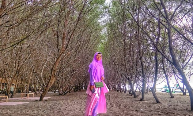 pantai cemara di banyuwangi, Asal Usul Nama , Keindahan Lokasi, Rute Menuju Lokasi, Harga Tiket Masuk, Penginapan di Sekitar