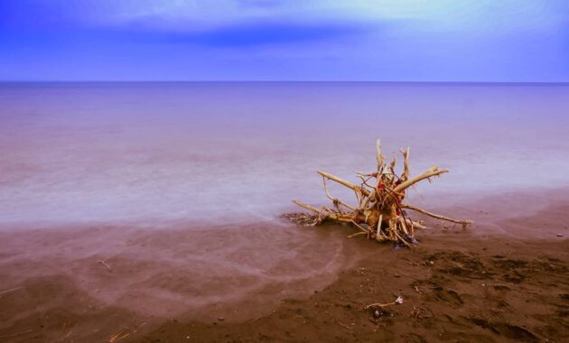 pantai cemara di banyuwangi, Asal Usul Nama , Keindahan Lokasi, Rute Menuju Lokasi, Harga Tiket Masuk, Penginapan di Sekitar