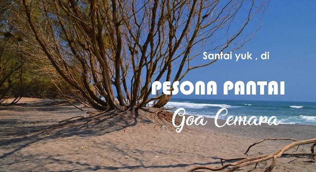 aktivitas di pantai goa cemara, daya tarik pantai goa cemara, goa cemara, harga tiket pantai goa cemara, keindahan pantai goa cemara, kuliner di pantai goa cemara, liburan ke pantai goa cemara, lokasi pantai goa cemara, pantai goa cemara, pantai goa cemara bantul, pantai goa cemara jogja, tiket masuk pantai goa cemara, pantai goa cemara: harga tiket, daya tarik, fasilitas, aktivitas dll