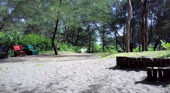 aktivitas di pantai goa cemara, daya tarik pantai goa cemara, goa cemara, harga tiket pantai goa cemara, keindahan pantai goa cemara, kuliner di pantai goa cemara, liburan ke pantai goa cemara, lokasi pantai goa cemara, pantai goa cemara, pantai goa cemara bantul, pantai goa cemara jogja, tiket masuk pantai goa cemara, pantai goa cemara: harga tiket, daya tarik, fasilitas, aktivitas dll