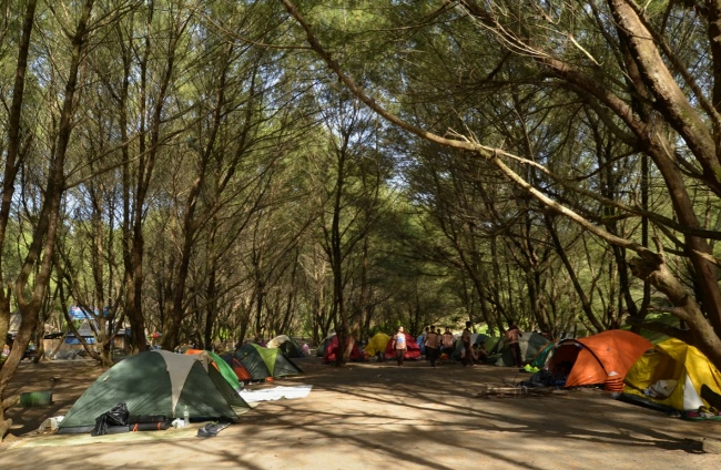 aktivitas di pantai goa cemara, daya tarik pantai goa cemara, goa cemara, harga tiket pantai goa cemara, keindahan pantai goa cemara, kuliner di pantai goa cemara, liburan ke pantai goa cemara, lokasi pantai goa cemara, pantai goa cemara, pantai goa cemara bantul, pantai goa cemara jogja, tiket masuk pantai goa cemara, pantai goa cemara: harga tiket, daya tarik, fasilitas, aktivitas dll