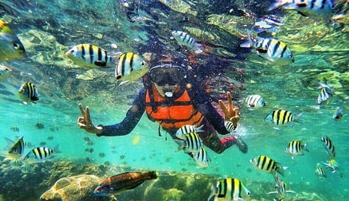 aktivitas di pantai kukup, fasilitas pantai kukup, kuliner di pantai kukup, lokasi pantai kukup, pantai kukup, wisata pantai kukup, pantai kukup: harga tiket, daya tarik, aktivitas seru, fasilitas dll