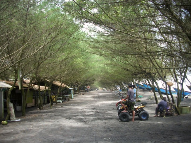 Pantai Kuwaru: Harga Tiket, Daya Tarik, Aktivitas Seru, Fasilitas dll