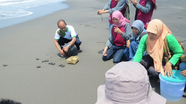 harga tiket masuk pantai pelangi, liburan ke pantai pelangi, lokasi pantai pelangi, objek wisata pantai pelangi, pantai pelangi, pantai pelangi bantul, pantai pelangi jogja, tiket masuk pantai pelangi, pantai pelangi: tempat liburan di bantul hits yang wajib dikunjungi