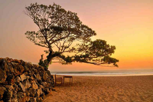 alamat pantai pok tunggal, fasilitas pantai pok tunggal, foto pantai pok tunggal, harga tiket masuk pantai pok tunggal, keindahan pantai pok tunggal, lokasi pantai pok tunggal, pantai pok tunggal, pantai pok tunggal gunung kdidul, pesona pantai pok tunggal, rute pantai pok tunggal, pantai pok tunggal: harga tiket, daya tarik, aktivitas seru, fasilitas