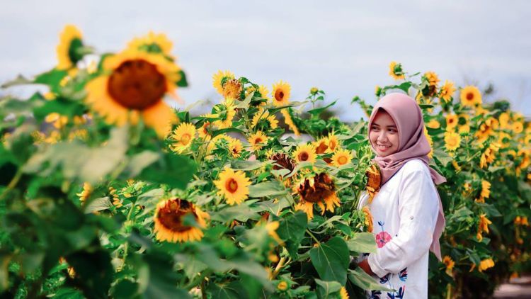 fasilitas pantai samas, harga tiket masuk pantai samas, lokasi pantai samas, pantai samas, rute pantai samas, tiket pantai samas, wahana pantai samas, pantai samas bantul: lokasi, harga tiket masuk, fasilitas, daya tarik dll
