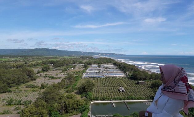 pantai samas srigading bantul jogja