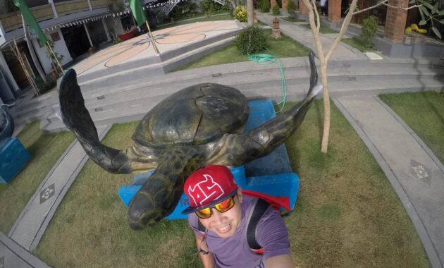 pelabuhan benoa denpasar bali, Pelabuhan Benoa, Tempat Wisata Terdekat, Bali Wake Park, Penangkaran Penyu , Pelabuhan Cruise Internasional