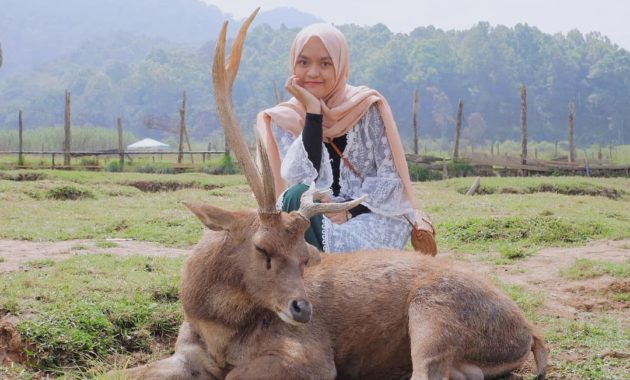 penangkaran rusa gresik, Deer Farm, Tempat Sejenis, Berwisata Disini , Lokasi Dimana, Harga Tiket Masuk
