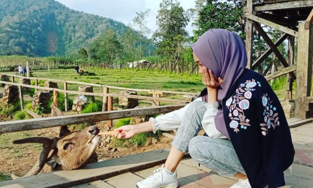 penangkaran rusa gresik, Deer Farm, Tempat Sejenis, Berwisata Disini , Lokasi Dimana, Harga Tiket Masuk