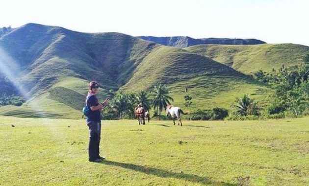 penasaran dengan keindahan ollon tana toraja? berikut berbagai gambarnya