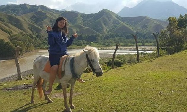 penasaran dengan keindahan ollon tana toraja? berikut berbagai gambarnya