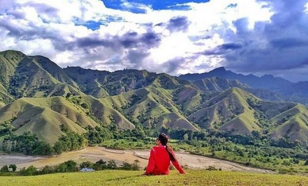 penasaran dengan keindahan ollon tana toraja? berikut berbagai gambarnya