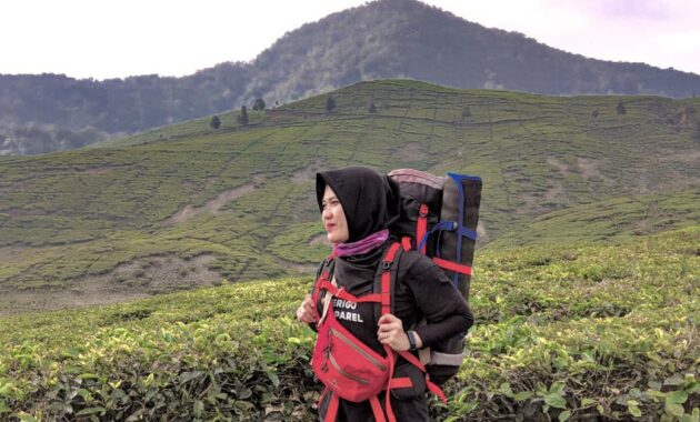 pendaki pemula? coba hiking ke gunung kencana, pesona alamnya exotic banget, Harga Tiket Masuk, Jalan Menuju Lokasi, Fasilitas, Pesona Gunung Kencana, Sekilas Gunung Kencana