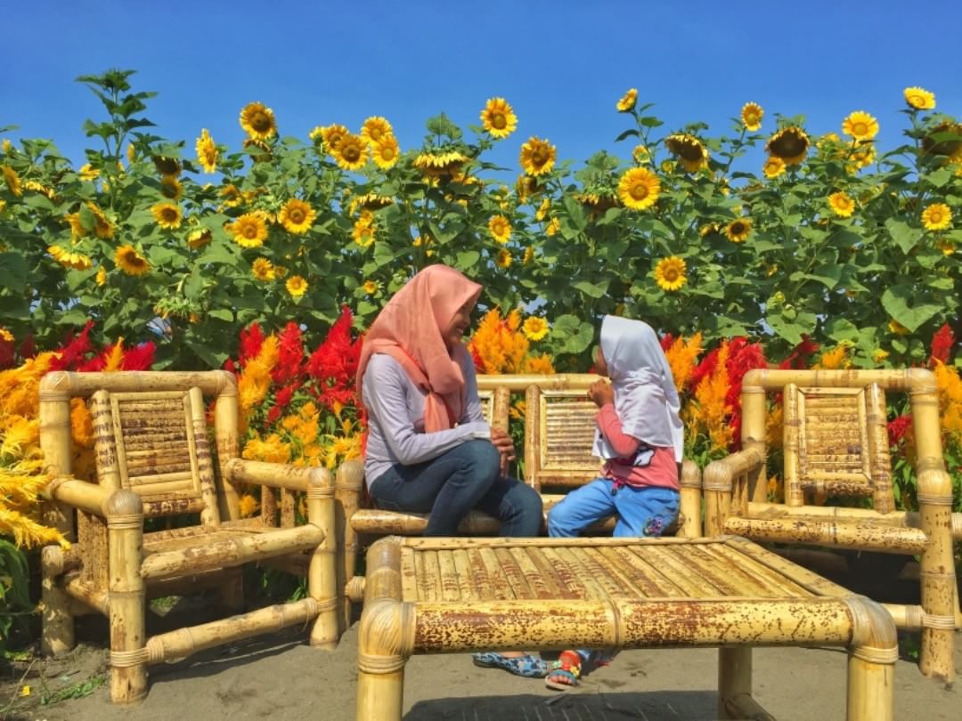 alamat perengan park, fasilitas perengan park, harga tiket masuk perengan park, lokasi perengan park, perengan park, perengan park bantul, spot foto di perengan park, tarif parkir perengan park, tiket masuk perengan park, perengan park: spot hits instagramable, harga tiket, daya tarik dll