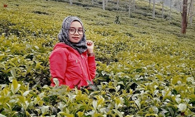 Pesona Indahnya Kebun Teh Jamus Ngawi dan Spot Borobudur Hills Yang Hits Banget