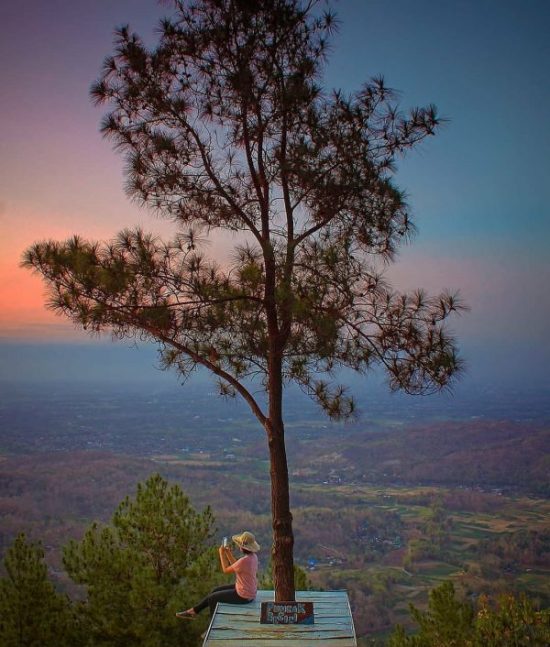 pesona puncak becici dlingo bantul yogyakarta