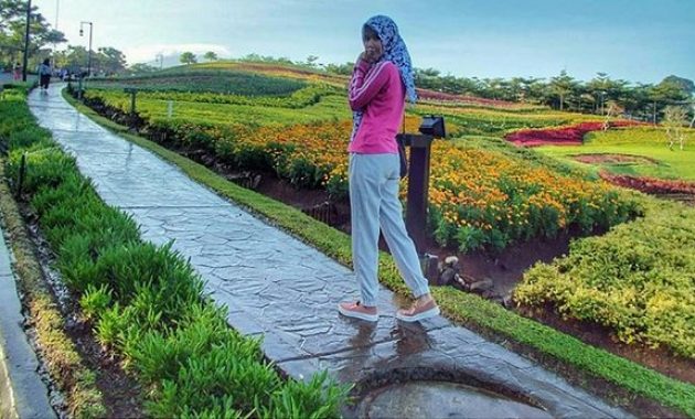 piknik bersama keluarga ke taman bunga wiladatika cibubur