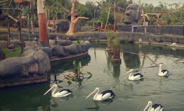 piknik sambil belajar mengenal satwa di jatim park 2‎