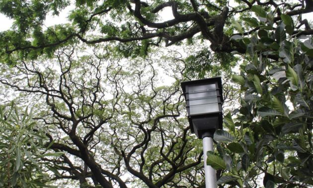 potret keseruan nongkrong di taman foto bandung, bisa usir penat, Harga Tiket Masuk, Jalan Menuju Lokasi, Fasilitas, Sejarah Taman Foto, Ruang Publik Fotografi