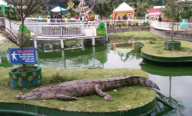 Predator Fun Park di Batu Jawa Timur