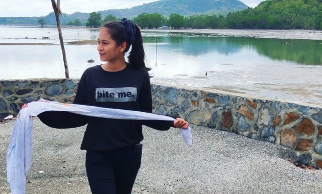 pulau bawean gresik