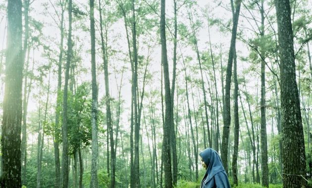 punti kayu buka jam berapa?, Dekat Pusat Kota, Deskripsi Singkat , Aktifitas Menarik , Harga Tiket Masuk , Fasilitas Yang Ada
